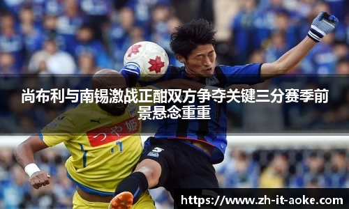 尚布利与南锡激战正酣双方争夺关键三分赛季前景悬念重重