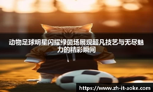动物足球明星闪耀绿茵场展现超凡技艺与无尽魅力的精彩瞬间